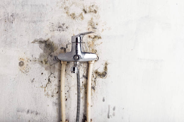 Best Mold Remediation for Schools in Bonduel, WI