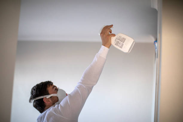 Best Black Mold Remediation in Bonduel, WI
